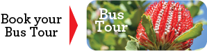 Book your Garden DesignFest Bus Tour