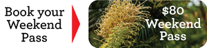 Garden DesignFest Weekend Pass